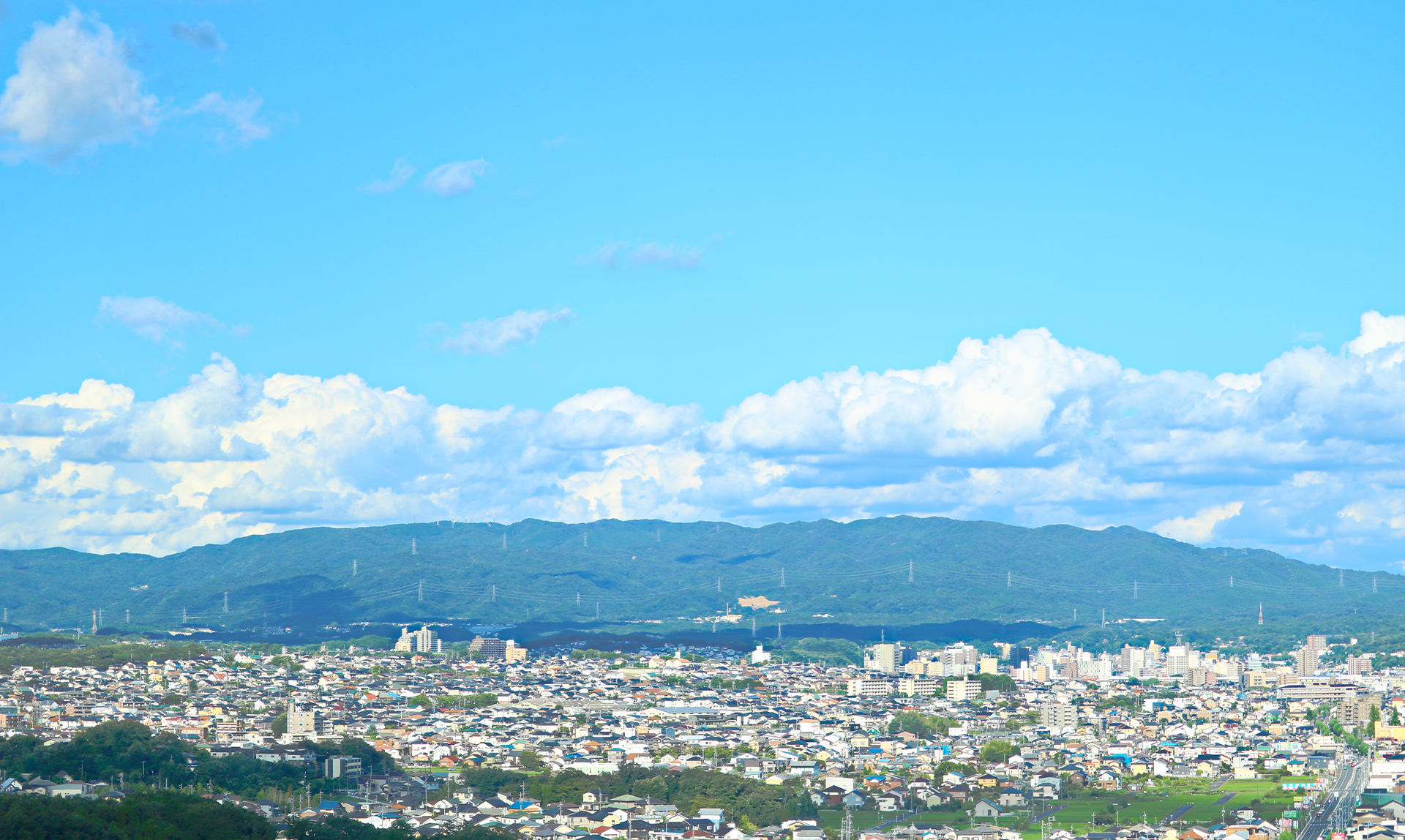 さくらコンサル有限会社